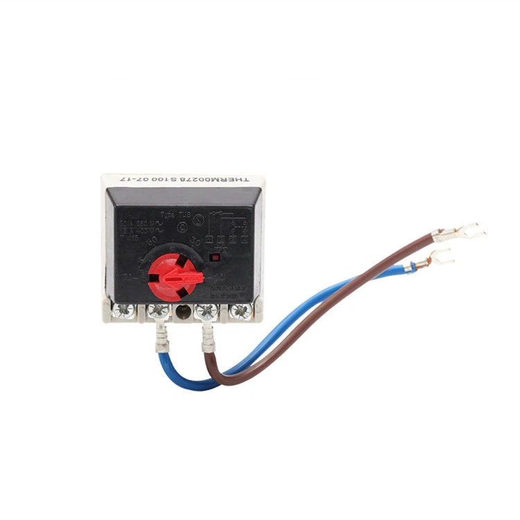 תרמוסטט גייזר מסוג גזע